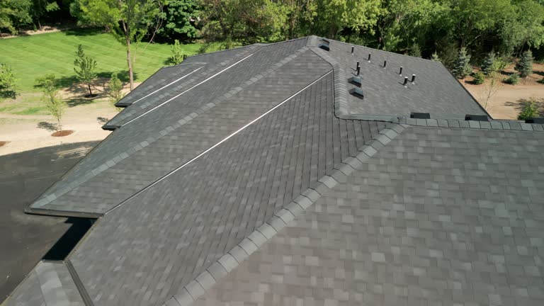 Best Sheet Metal Roofing  in Horizon City, TX