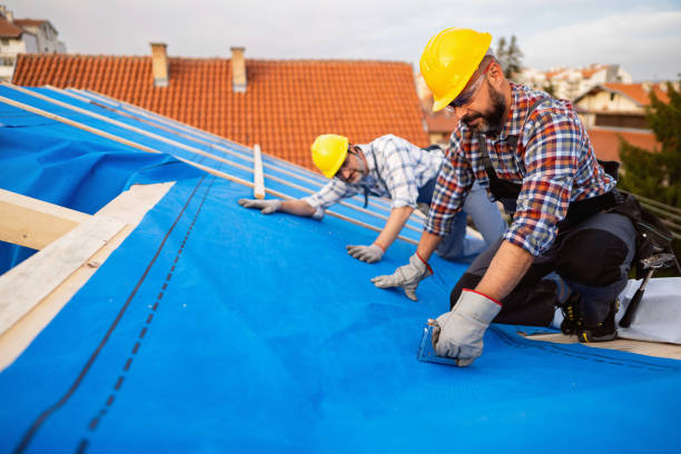 Best Chimney Flashing Repair  in Horizon City, TX