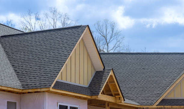 Best Commercial Roofing Services  in Horizon City, TX