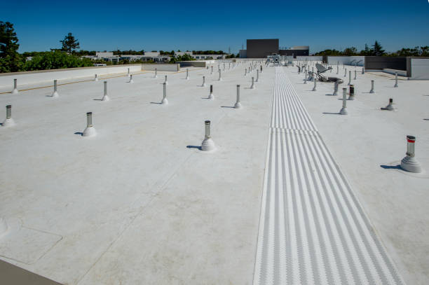 Best Steel Roofing  in Horizon City, TX